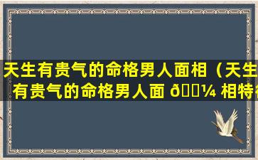 天生有贵气的命格男人面相（天生有贵气的命格男人面 🌼 相特征）